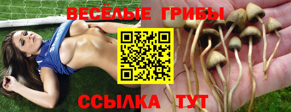 Галлюциногенные грибы прущие грибы  Вход с VPN  даркнет сайт  Воскресенск 